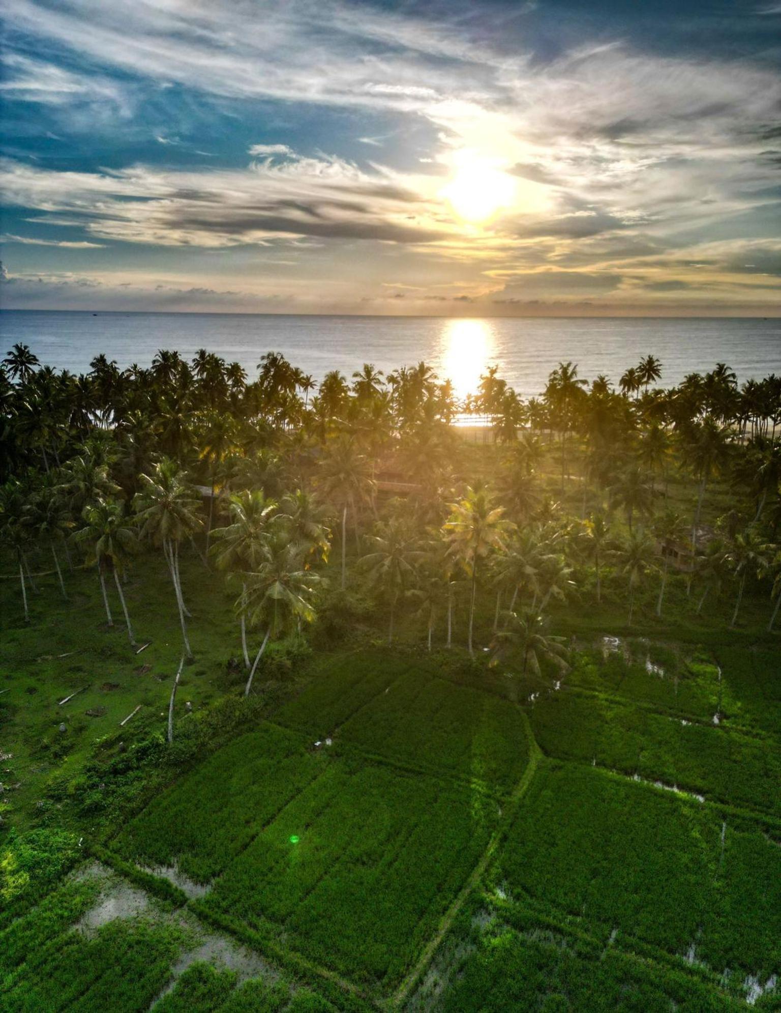 Paddy Farm Beach Resort Odayam バルカラ エクステリア 写真